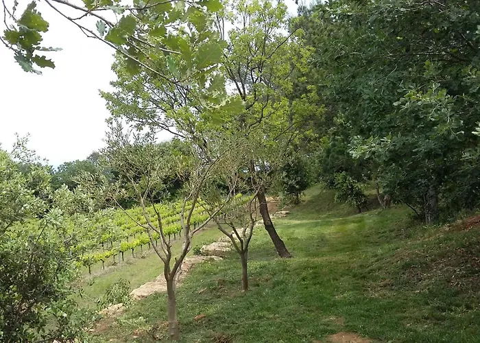 Les Chrisalies Ferienhaus Pont-Saint-Esprit